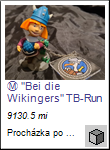 Bei die Wikingers TB-Run